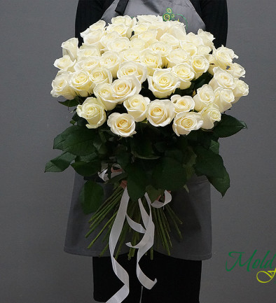 Роза белая голландская 60-70 см Фото 394x433